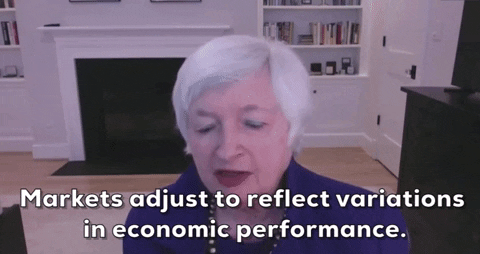 Janet Yellen Confirmation Hearing GIF by GIPHY News