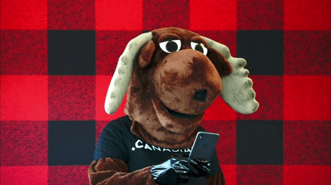 Canadian Whatever GIF by choose.ca