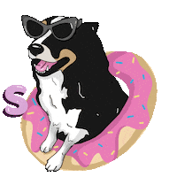 Dog Finde Sticker by closhoesanddogs