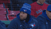 Blue Jays Smile GIF by Toronto Blue Jays