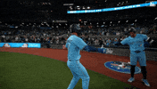 Blue Jays Baseball GIF by Toronto Blue Jays