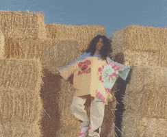 Hay Bale GIF by SZA