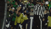 Celebration Scream GIF by Notre Dame Fighting Irish