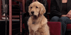 GIF by Team Coco