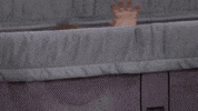 108 GIF