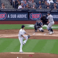 Jomboy  GIF
