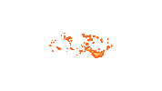 Suru Sticker