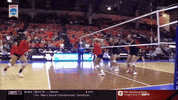ncaasports ncaa volleyball illinois ncaavb GIF