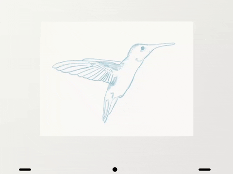 flying Humming Bird GIF by falenabalena