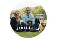 Golden Retriever Happy Dog Sticker by James & Ella