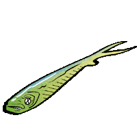 Fishus Sticker by Yuki Competition