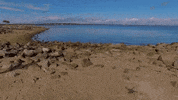 rhode island GIF
