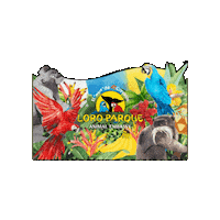 Dia De Canarias Siampark Sticker by Loro Parque
