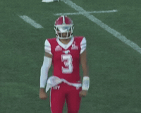 Celebration GIF