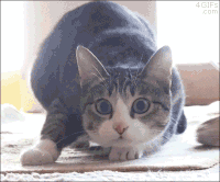 GIF by Demic