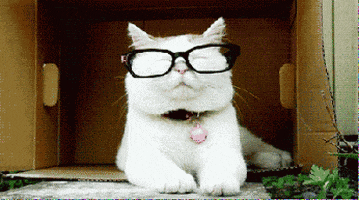 repeat GIF