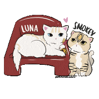 Romacat Sticker