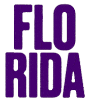 Flo Rida Concert Sticker by ZM