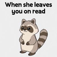 Raccoon Ghosting GIF by Ordinary Frends