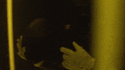 Go Blue Michigan Football GIF by Michigan Athletics