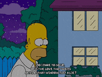 homer simpson crying GIF
