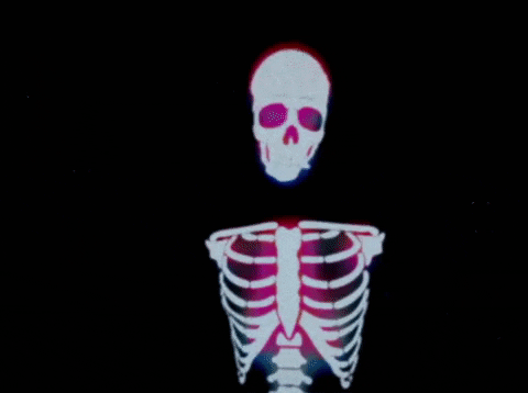 valentine GIF by 5 Seconds of Summer