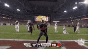 Arizona Cardinals Football GIF by NFL