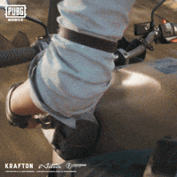 Battle Royale Battlegrounds GIF by Official PUBG MOBILE