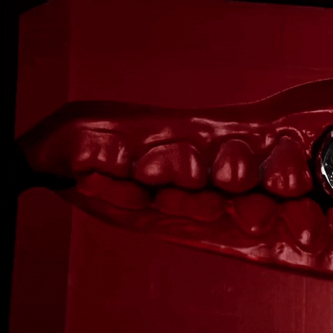 yj_jane giphygifmaker GIF