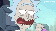 Season 4 Episode 3 GIF by Rick and Morty