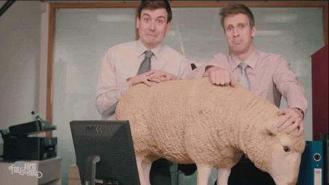 Fah Sean Finegan GIF by FoilArmsandHog