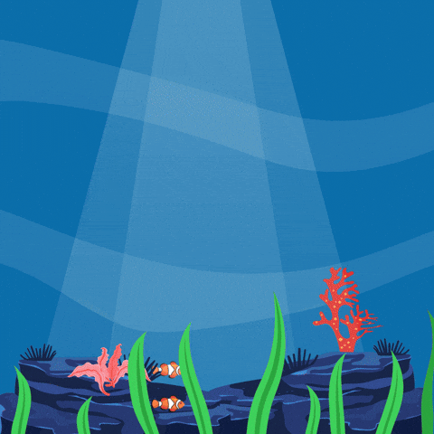 World Oceans Day GIF by Wheelzy