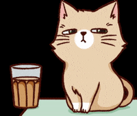 Cat 貓 GIF