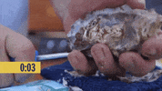hack my life hml402 GIF by truTV