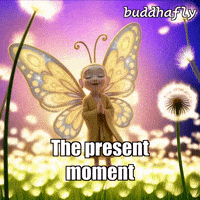 Butterfly Wind GIF by BuddhaFlyJourney