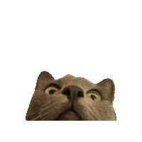 Cat Staring Sticker by Fragility