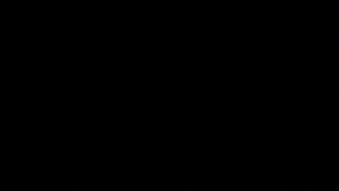 Eddie Brock Carnage GIF by Venom Movie