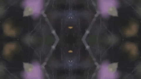 Art Film GIF by jorgemariozuleta