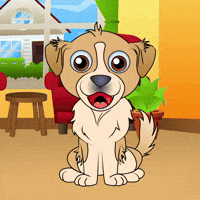 Dog Shake