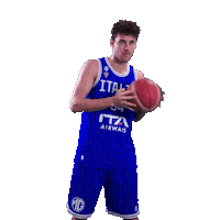 Italia Sticker by Italbasket