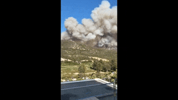Wildfire Burns Near Resort on Turkey's Aegean Coast