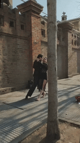 Buenos Aires Dancing GIF by el