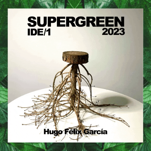hugofelixgarcia giphygifmaker supergreen GIF