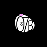 Lfs-Ober7brunn obersiebenbrunn o7b GIF