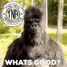 Nft Whats Good GIF by The New Resistance