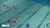Goal Swimming GIF by Stadtmannschaft Zürich