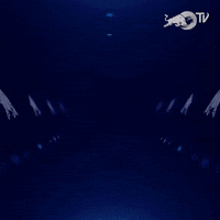 Super Bowl Reaction GIF by Red Bull