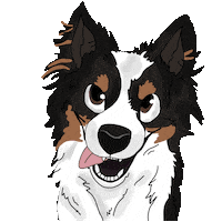 HerrWuff wuff delbrück herr wuff stadtdelbrück Sticker