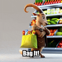 Bag It Shopping GIF by Radiantelope
