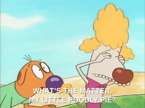 nicksplat GIF